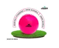 jaspo T-20 Plus Practice Cricket Ball/Wind Balls (125-130 GMS) for - Indoor & Outdoor Street & Beach Cricket (Pack of 3) (Pink)(FROM INDIA)NUZ. 