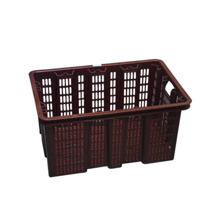Daxer Plastic Vegetable Crate – DVC 01