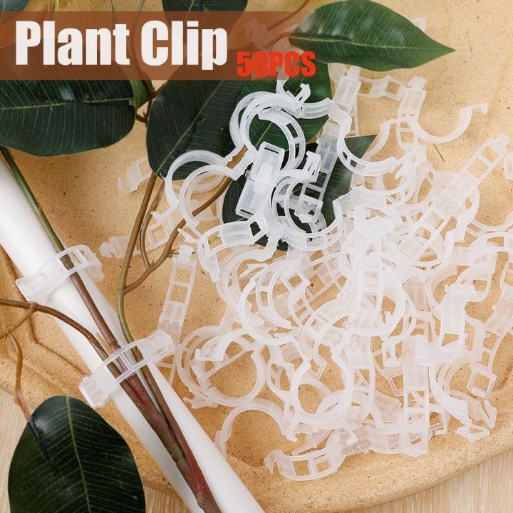 50Pcs%20Plastic%20Plant%20Clips%20Supports%20Connects%20Reusable%20Protection%20Grafting%20Fixing%20Tool%20Gardening%20Supplies%20for%20Vegetable%20Tomato%20-%20Image%207
