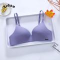 Korean Style Women's Thin Push-up Bra Without Steel Ring Gathers Breathable Underwear. 