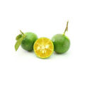 Calamansi fruit plant. 
