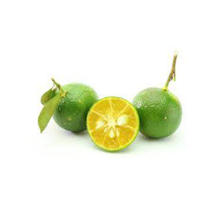 Calamansi%20fruit%20plant%20-%20Image%205