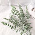 Artificial Eucalyptus Leaves Stems Eucalipto Branches Artificial Fake Plants for Wedding Shooting Prop Home Decoration Garland. 