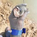 Stainless Steel Gloves Anti-Cut Safety Cut Resistant Hand Protective Metal Meat Mesh Glove For Butcher Wire Knife Proof Stab. 