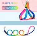 Cat and Dog Harness and Leash Set Vest Leash Collar Set Adjustable Rainbow. 