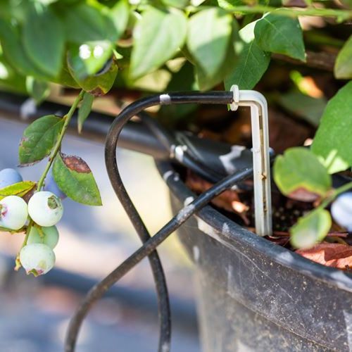 Home%20Garden%20Drip%20Irrigation%20System%207in1%20-%20Image%203