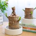 Mini Brazil Wood Green Plant Pot. 