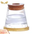 SuperRide Air Plant Propagation Jar Glass Planter with Wooden Tray for Hydroponic Plants Tabletop Propagation Vase for Air Plants Flower Cuttings Buyers' Favorite Hydroponic Plant Vase. 