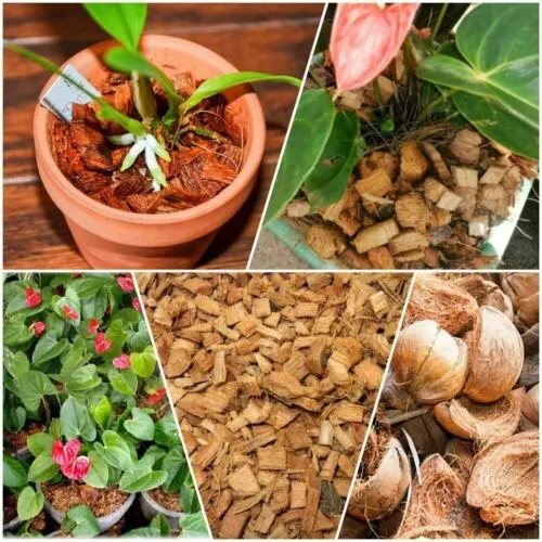 Organics%20Coconut%20Coco%20Husk%20Chips%20Block%20for%20Plants%20and%20Orchids%20(Low%20EC%205%20Kg)%20-%20Image%204