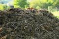 Cow Dung Organic Compost & Manure Fertilizer Soil Conditioner Plant-s &Trees and Bio Gas Starter 5kg. 