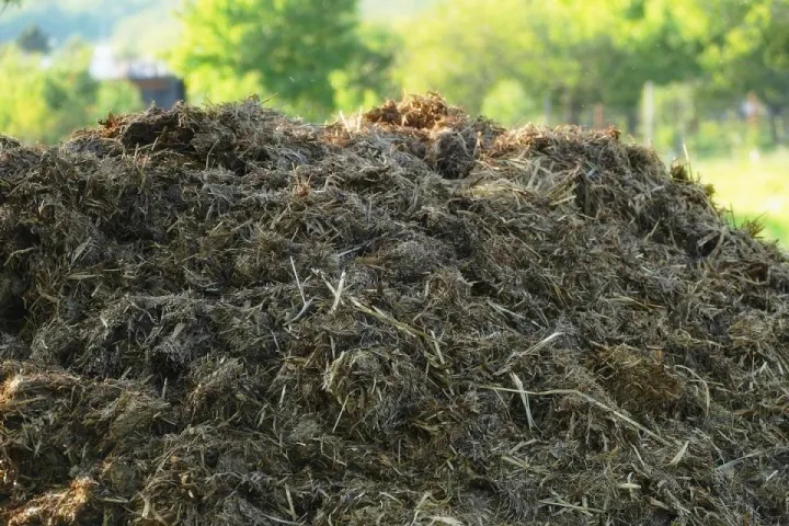 Cow%20Dung%20Organic%20Compost%20&%20Manure%20Fertilizer%20Soil%20Conditioner%20Plant-s%20&Trees%20and%20Bio%20Gas%20Starter%205kg%20-%20Image%203