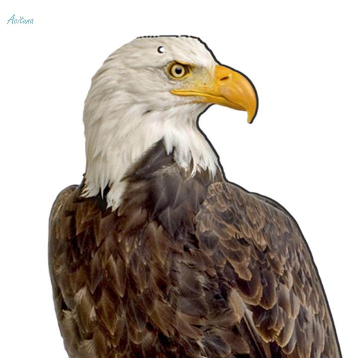 Fake%20Owl%20Realistic%20Decoration%20Owl%20Scarecrow%20Bird%20Scarer%20Fake%20Owl%20Statue%20Decoy%20for%20Garden%20Decor%20-%20Image%206