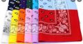 Bandana scarf. 