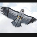 Rainbow Kite / Kite Toys for Outdoor. 