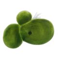 【jellyfishleaf Aquarium Artificial Duckweed Floating Plastic Green White Plant. 
