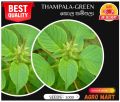 Thampala-green seeds - 1000. 