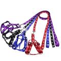 Large Size Dog harness and leash Printed colour. 