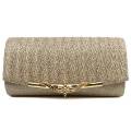 Women Evening Bag Party Banquet Glitter Bag For Women Girls Wedding Clutches Handbag Chain Shoulder Bag(champagne). 