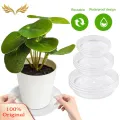SuperRide Prevent Root Rot Plant Tray Clear Round Plant Saucers Set of 4 Reusable Tray for Indoor Outdoor Potted Plants Flower Pot Drainage Saucer for Odorless Plant Tray. 