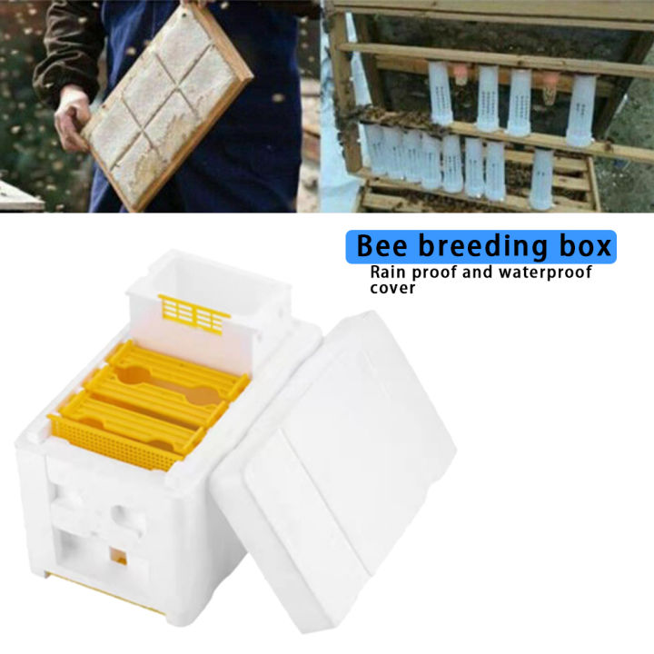 1/2/3pcs%20Beehive%20Beekeeping%20King%20Box%20Foam%20Home%20Bee%20Hive%20Pollination%20Boxes%20Harvest%20Bee%20Hive%20Beekeeper%20Mating%20Accessories%20-%20Image%203