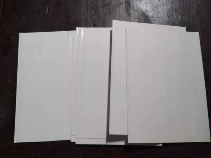 Fly%20Glue%2010pcs/Box%20Glue%20Catcher%20Dual-Sided%20-%20Image%205