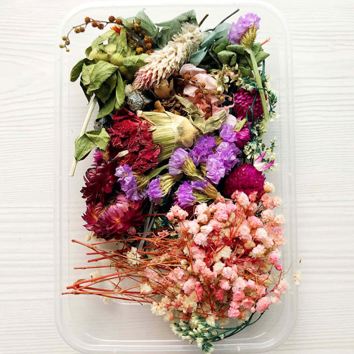 Real%20Dried%20Flowers%20Plants%20Pressed%20For%20Resin%20Jewellery%20Making%20Craft%20DIY%20Accessory%20-%20Image%204