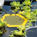 3D Printed Floating Bee Island Bee Waterer,Bee Watering Station A. 