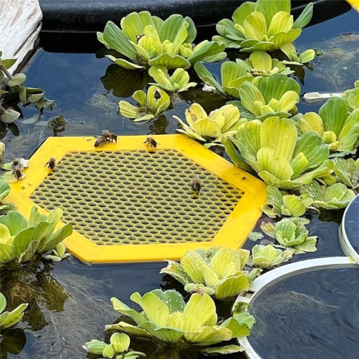 3D%20Printed%20Floating%20Bee%20Island%20Bee%20Waterer,Bee%20Watering%20Station%20A%20-%20Image%206
