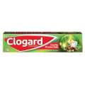 Clogard Regular Toothpaste 160G. 
