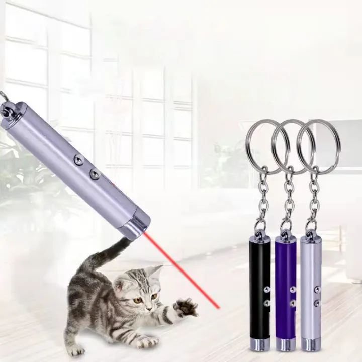 Mini%20Flashlight%20Infrared%20Laser%20Key%20Ring%20Pendant%20Teaching%20Pen%20Laser%20Cat%20Funny%20Stick%20-%20Image%207