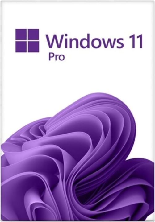 Windows%2011%20Pro%20+%20Microsoft%20Office%202021%20Professional%20Bundle%20-%20Image%203