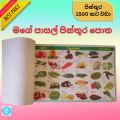 My School Picture Book - Cut & Paste Grade 1-5 kids Sinhala Tamil English children. 