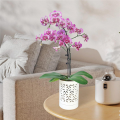 Orchid Pots with Holes,4 Inch Ceramic Orchid Pot for Repotting, Flower Planter Pot Indoor Outdoor, Breathable Easy to Use White. 