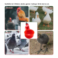 Chicken Feeder Cup 3/8 Inch Thread Automatic Filling for Chicken Duck Turkey Rabbit. 