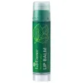 LuvEsence Lip Balm- Mostly Mint 3.5G. 