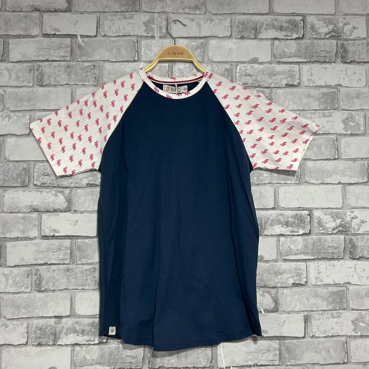 D-Blaq Raglan T-Shirt in grey V3