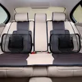 Mesh Back Support for Office Chair, Lumbar/Chair Back Support with Elastic Strap Back Rest for Car Seat/Back Pain Relief. 
