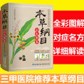 [ Color An Illustrated Handbook ] Compendium of Materia Medica Genuine Medicine Full An Illustrated Handbook Chinese Herbal Medicine Collection Health Care Books. 