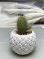 Concrete Pot Cactus & Succulent Cement Planter Unique Square and Round Design Garden Home Decor Gift Pot Indoor Plant Pot Flower Vase Cement Pots Planter for Indoor and Outdoor. 