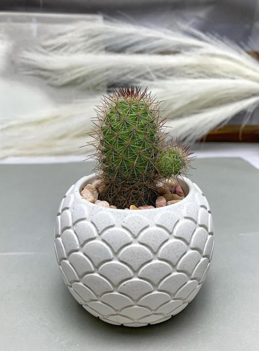 Concrete%20Pot%20Cactus%20&%20Succulent%20Cement%20Planter%20Unique%20Square%20and%20Round%20Design%20Garden%20Home%20Decor%20Gift%20Pot%20Indoor%20Plant%20Pot%20Flower%20Vase%20Cement%20Pots%20Planter%20for%20Indoor%20and%20Outdoor%20-%20Image%206