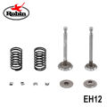 Robin Valve & Spring For Tamping Rammer - EH12 Engine. 