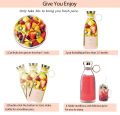 Mini Juicer Blender Portable. 