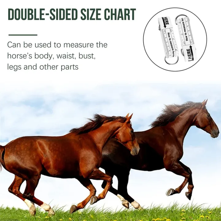 Horse%20Height%20Weight%20Tape%20Horse%20Measuring%20Tape%20PVC%20Horse%20Measuring%20Stick%20Livestock%20Body%20Measuring%20Tool,%208.2%20Feet%20Long%20-%20Image%204