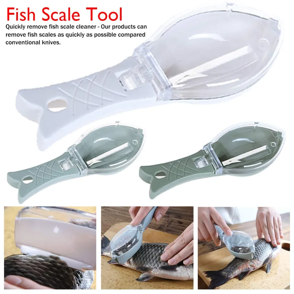 Practical fish scaling tool with cover – Manual kitchen scaler and scraper