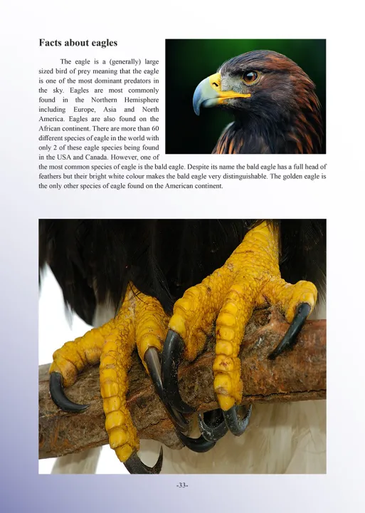 Poetry%20Resource%20Book%20For%20Students%20-%20Image%207