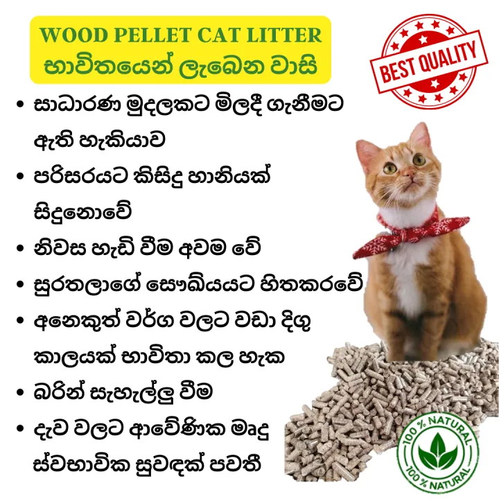 Kitto%20Kitty%20Biodegradable%20Wood%20Pellet%20Cat%20Litter%20-%205L/%20Natural%20-%20Image%203