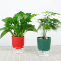 1Pc Plant Pot Self Watering Clear Plastic Flowerpot Double-Layer Water Storage Automatic Water Absorption Potted Flowerpot. 