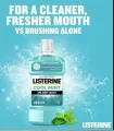 Listerine Cool Mint Daily Mouthwash 250ml. 