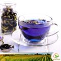 නිල් /සුදු /දම් කටරොළු 20 Seeds of Clitoria Ternatea White/Blue Butterfly Pea for Natural Organic Farming Vegetable, Fruit & flower Seed. 