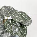 Ethereon Home Decor Artificial Plant Realistic Artificial Potted Plant No Watering Needed Small Home Decor Reusable Green Plant for Living Room Buyers' Favorite Artificial Indoor Plant. 